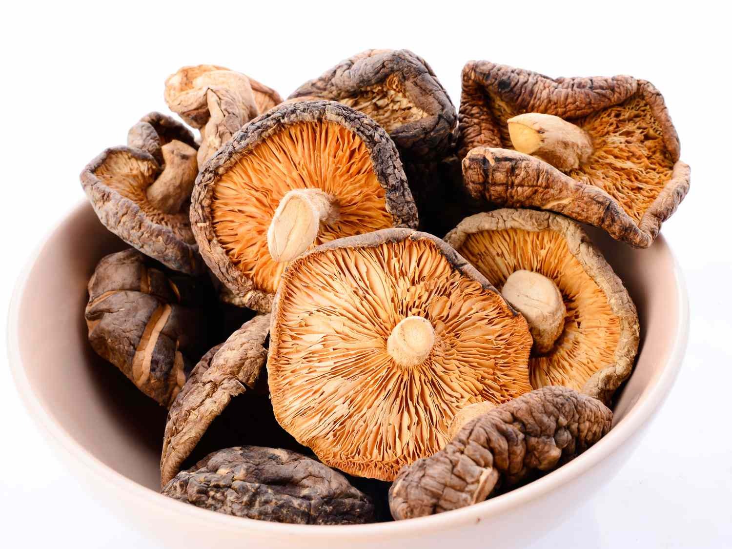 Dried Mushroom